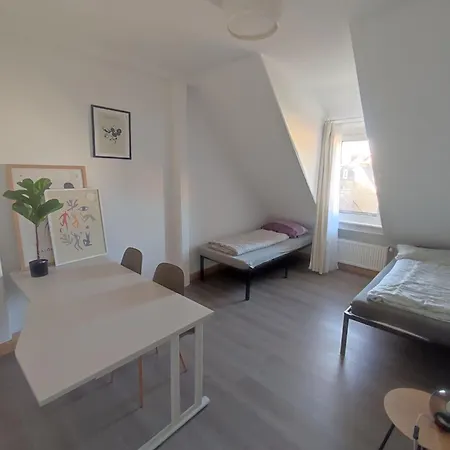 Workation Big, Cozy And 24 H Check In * Wiesbaden